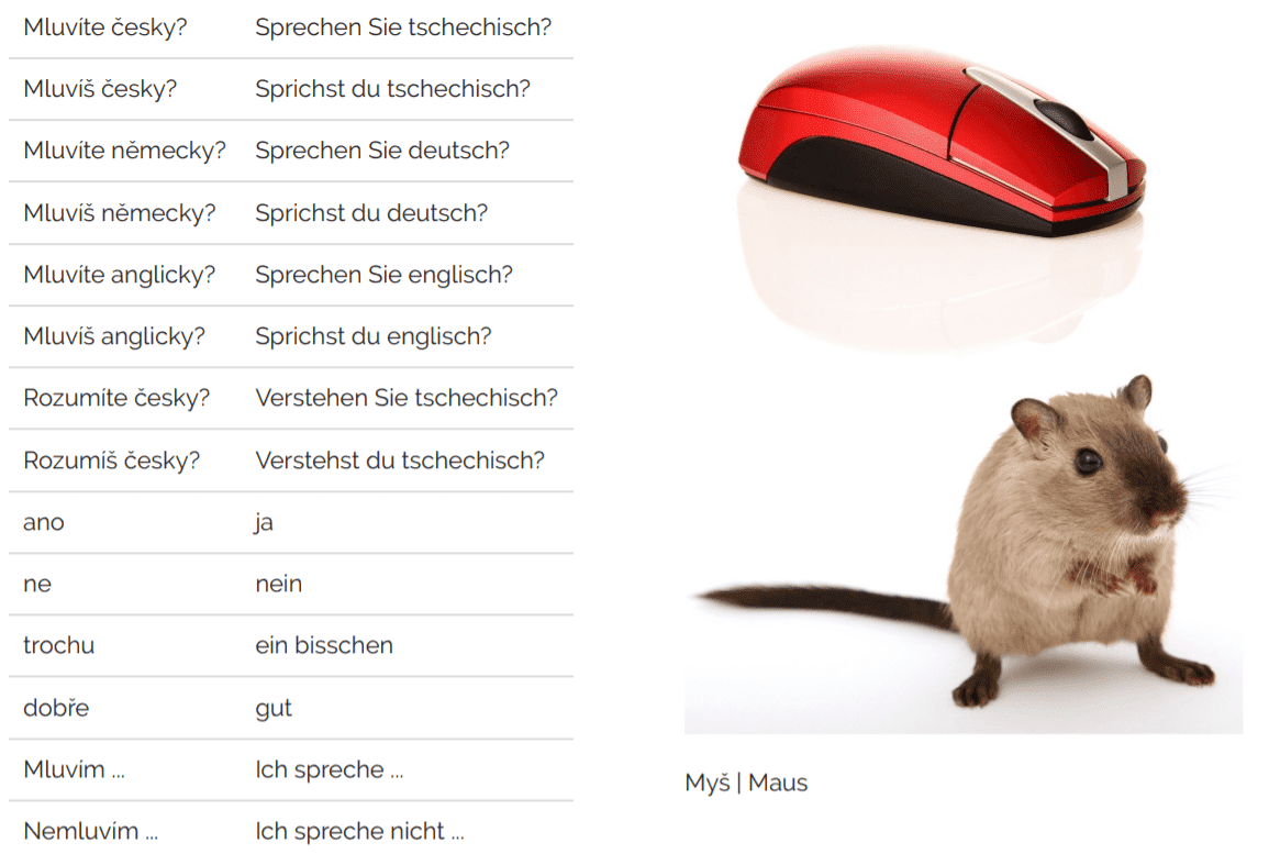 wichtige tschechische woerter